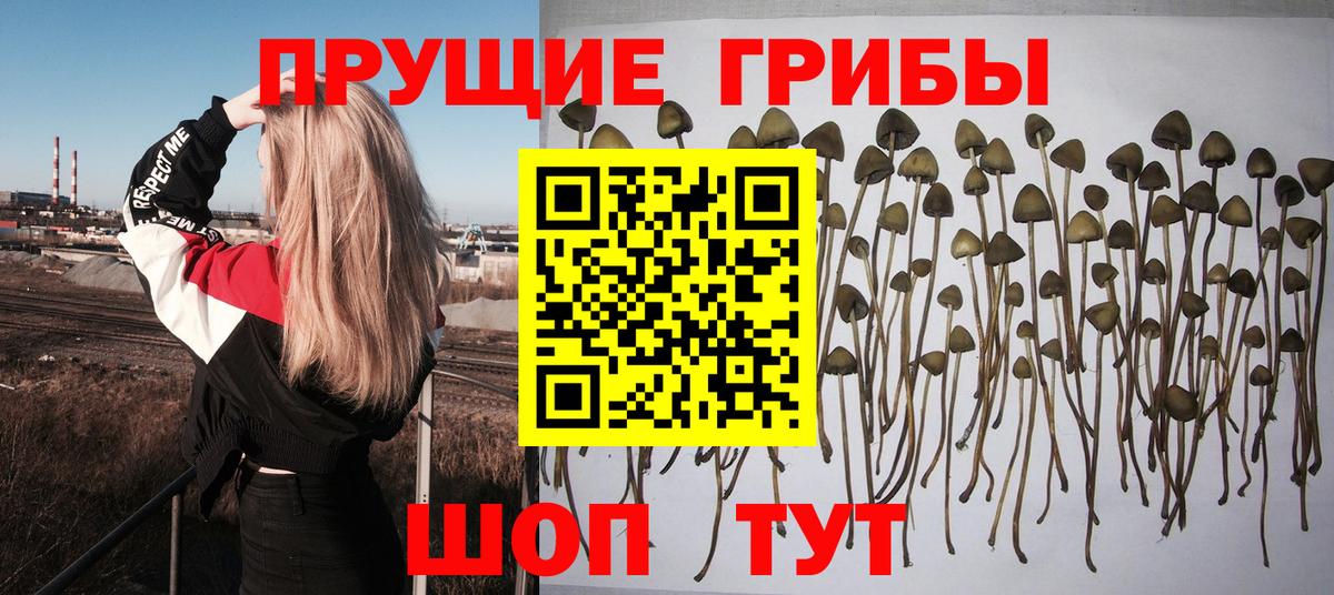 Галлюциногенные грибы Magic Shrooms Нефтекумск